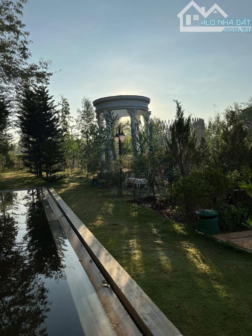Homestay nguồn thu ổn định ở BMT - 6