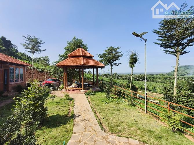 Bán 4000m2 đất có sẵn nhà xã lang minh, huyện xuân lộc tỉnh đồng nai - 7