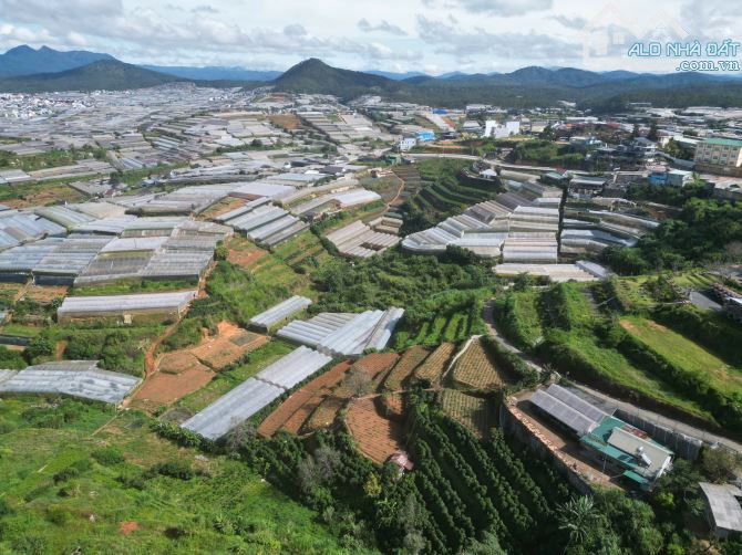 HẠ 6 TỶ BÁN LÔ ĐẤT LIÊN KẾ HAI MẶT TIỀN ĐƯỜNG CHÍNH VIEW CỰC ĐẸP ĐÀ LẠT - 7