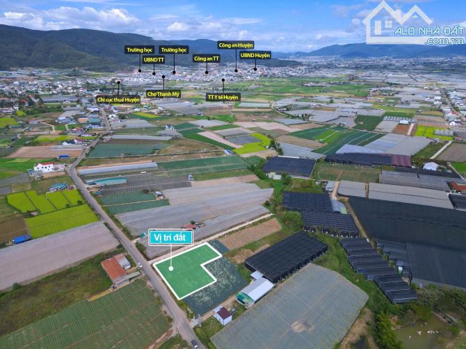 👊 Bán Đất Đơn Dương: 5x25m giá chỉ 799tr. - 8