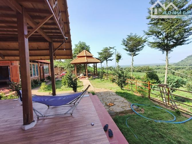 Bán 4000m2 đất có sẵn nhà xã lang minh, huyện xuân lộc tỉnh đồng nai - 8