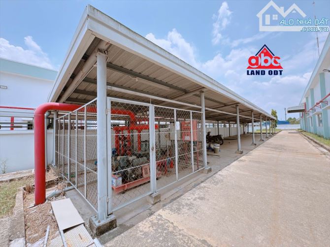 XT063 Khu Công Nghiệp Tại Tỉnh Đồng Nai Cho Thuê Nhà Xưởng Sản Xuất khuôn viên độc lập - 8