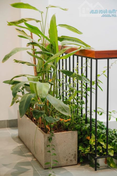 Ms Linh-Bán nhà khu phân lô sau quận Ủy Hồng Bàng, Sở Dầu vị trí đẹp giá siêu rẻ - 9