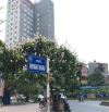 Bán nhà mặt phố Minh Khai Hai Bà Trưng, 170m2 mặt tiền 10m giá cực tốt