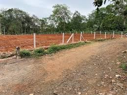 Cần bán 1 hec đất view suối cực đẹp kim long đường ô tô vào đất giá chỉ 600 triệu/sào