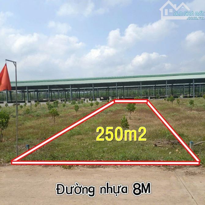 đất vùng ven Sài Gòn mặt tiền đường lớn tiện ích xung quanh đầy đủ chỉ với 400tr sổ sẵn