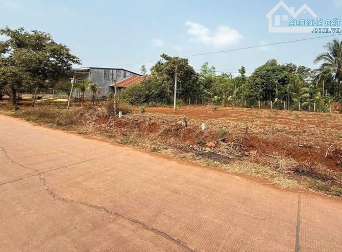 Bán 5 hec đất thị trấn Ngãi giao gần đường lớn giá chỉ 800 triệu/sào
