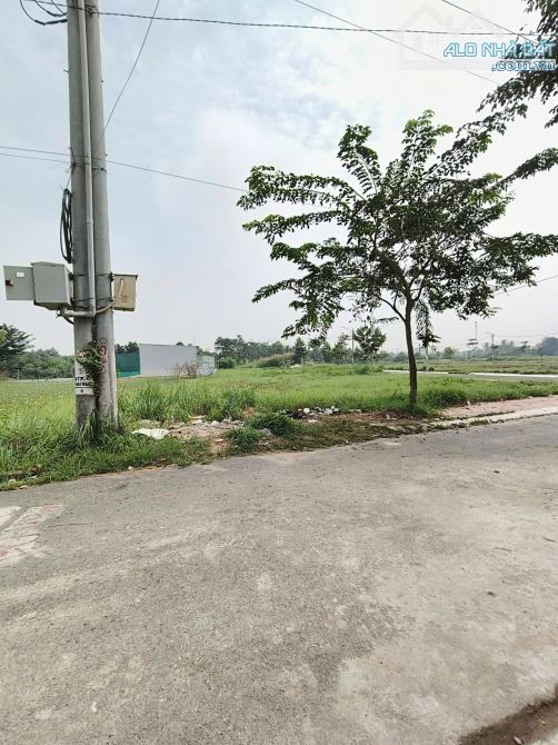 BÁN LÔ ĐẤT E.CITY TÂN ĐỨC 6X20 LIỀN KỀ KDC TÂN ĐỨC