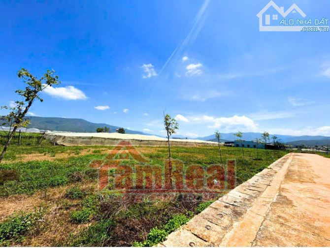 Anh/ chị đang tìm kiếm một nơi để an cư hay nghỉ dưỡng ven Đà Lạt