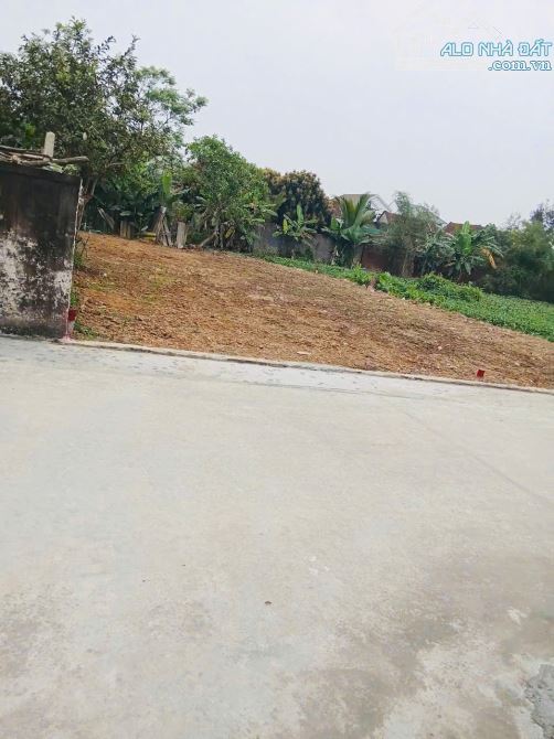 MỞ BÁN SIÊU PHẨM 2 LÔ ĐẤT NGHI DIÊN , NGHI LỘC CẠNH ĐƯỜNG LIÊN XÃ
