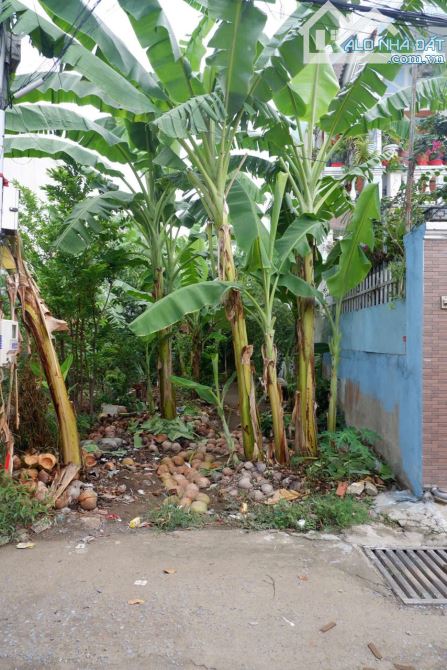 Bán đất 4x23m, hẻm Bùi Hữu Nghĩa p. Tân Hạnh, thổ cư 100%