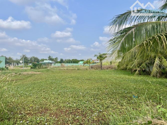 Chính chủ gửi 2700m2 đất lúa, đường xe tải, giá rẻ - 1