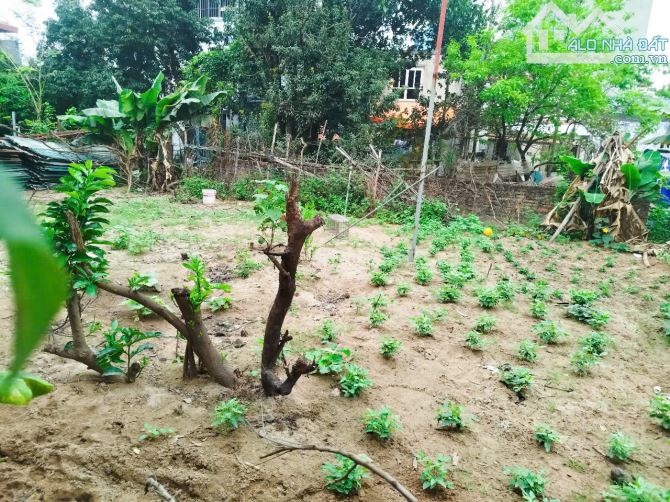 🔥 BÁN ĐẤT ĐẸP HẢI BỐI ĐÔNG ANH – MẶT TIỀN 10M – Ô TÔ VÀO TẬN ĐẤT – CHỈ 8.5 TỶ 🔥 - 1