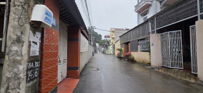 💥 Trung Oai Tiên Dương Đông Anh G,,iá Tốt  Vị Trí Siêu Đẹp Sát Đường Võ Nguyên Giáp Gần T - 1