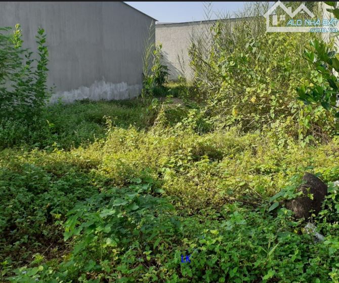 🔰Bán nền: 155m² (4,5m x 32m, thổ 100%, hậu 5,7m) 🔰Đường 3/2, TT.Mỹ Thọ, H.Cao Lãnh. - 1