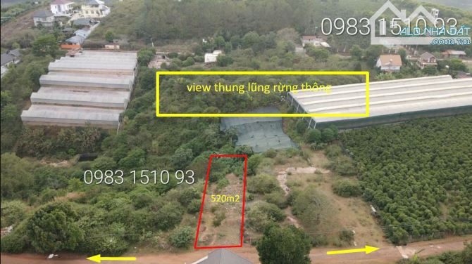 🌲Lô đất xây dựng 520m - Măng Lin - phường 7 - Đà Lạt🔥9 Tỷ 8 - 1