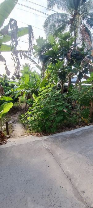 CHÍNH CHỦ GỬI BÁN 850m2 ĐẤT CỰC ĐẸP NGAY THẠNH LỢI - THƯỜNG THẠNH - CÁI RĂNG - CẦN THƠ - 1