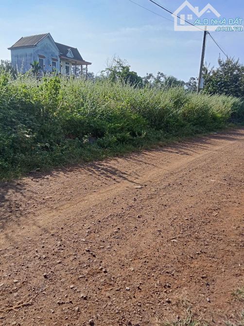 Bán Lô đất Tara khu vực đang phát triển, gần đường tránh đông, lôgictics.... - 1
