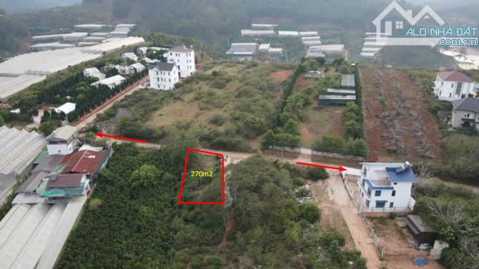 CẦN BÁN LÔ ĐẤT NGHỈ DƯỠNG HAI MẶT TIỀN TẠI MĂNG LIN- PHƯỜNG 7 – TP.ĐÀ LẠT - 1