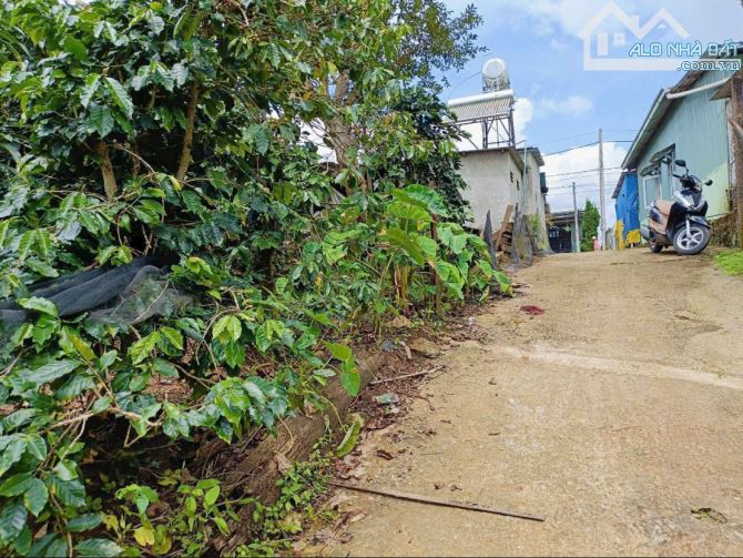 bán lô đất măng lin giá đầu tư chỉ 15 triệu m2 phường 7 đà lạt - 1