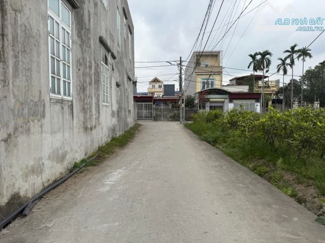 Bán đất Mỹ Tranh – Nam Sơn – An Dương đường 5m, lô 55m2 – giá chỉ 1,3 tỷ. - 1