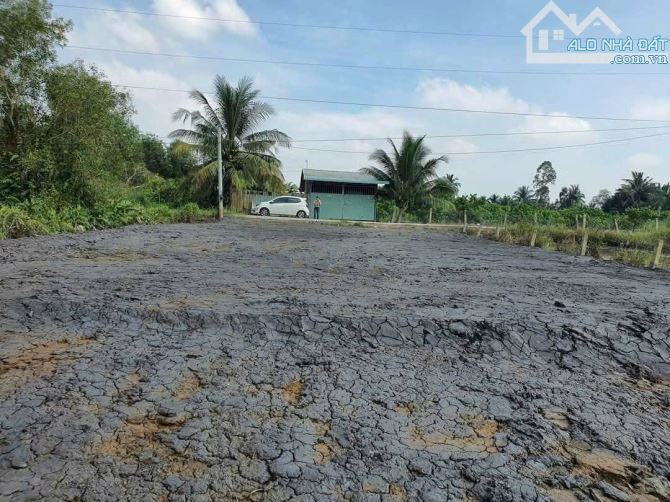 150m2 thổ + 1850 Vườn/ SHR/ Ấp 5-6 Bình Đức / Bến Lưc - 1