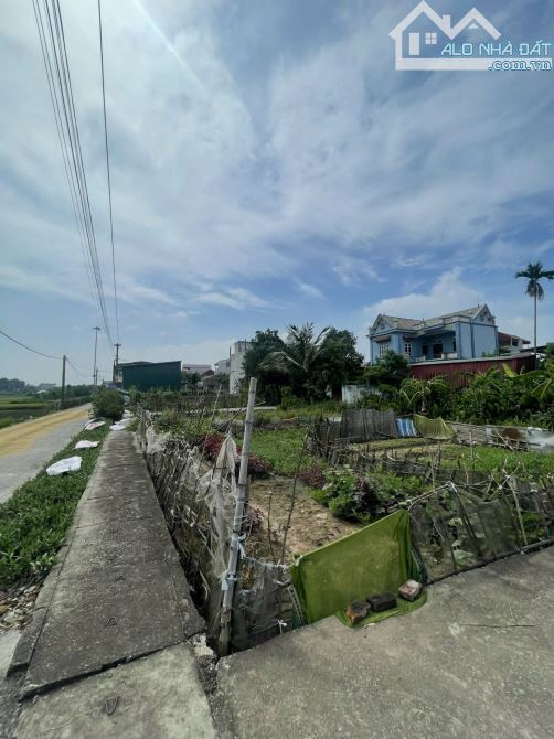 Bán đất đấu giá X11 Ngọc Tảo, Phúc Thọ, DT 120m giá 3xtr/m có thương lượng - 2