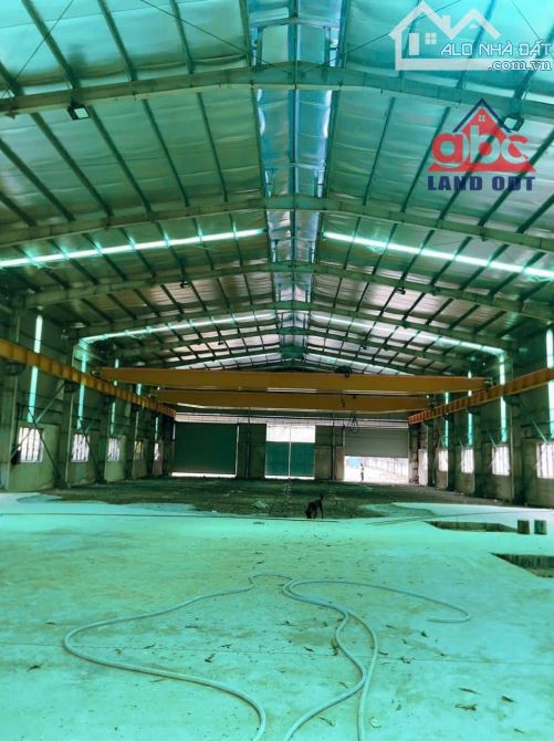 X007  Bán Nhà Xưởng 3500m2 Thuộc Xã An Viễn, Trang Bom Đồng Nai. - 2
