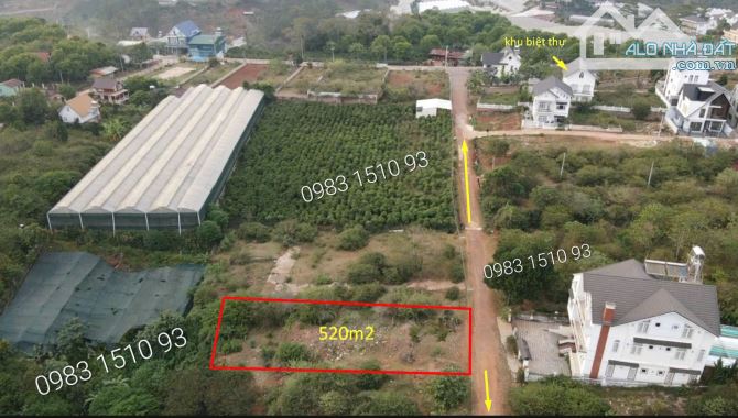 🌲Lô đất xây dựng 520m - Măng Lin - phường 7 - Đà Lạt🔥9 Tỷ 8 - 2