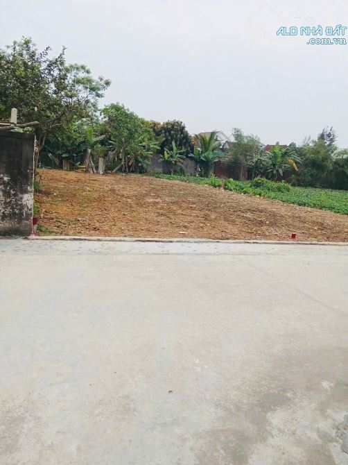 MỞ BÁN SIÊU PHẨM 2 LÔ ĐẤT NGHI DIÊN , NGHI LỘC CẠNH ĐƯỜNG LIÊN XÃ - 2