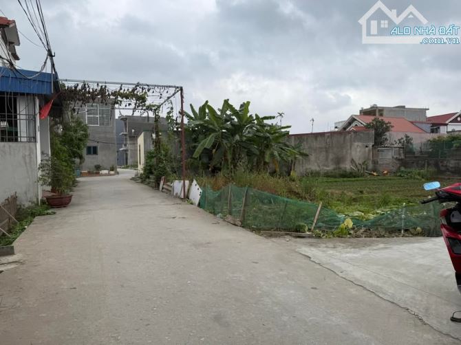 Bán đất Mỹ Tranh – Nam Sơn – An Dương đường 5m, lô 55m2 – giá chỉ 1,3 tỷ. - 2