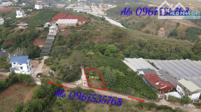 Bán lô đất mặt tiền MăngLin, p7, tp Đà Lạt. - 2