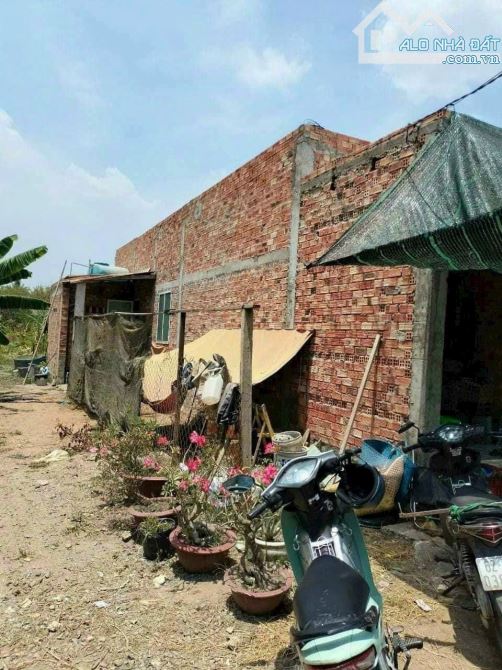 Nhà  Vườn cấp 4 kiên cố 345m2 thổ/ sổ hồng riêng/ ấp 1 xã Long Khê Gò đen - 2