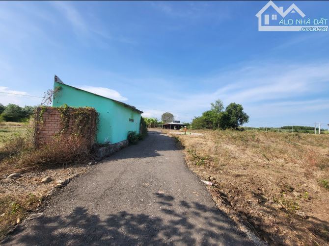 Bán đất vườn cạnh kcn Đất Đỏ. 1700m2 có 80m mặt tiền qh đất ở - 3