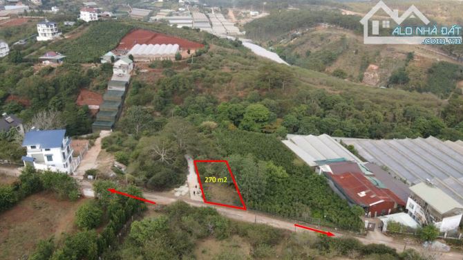 CẦN BÁN LÔ ĐẤT NGHỈ DƯỠNG HAI MẶT TIỀN TẠI MĂNG LIN- PHƯỜNG 7 – TP.ĐÀ LẠT - 3