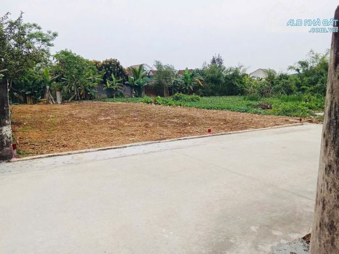 MỞ BÁN SIÊU PHẨM 2 LÔ ĐẤT NGHI DIÊN , NGHI LỘC CẠNH ĐƯỜNG LIÊN XÃ - 3