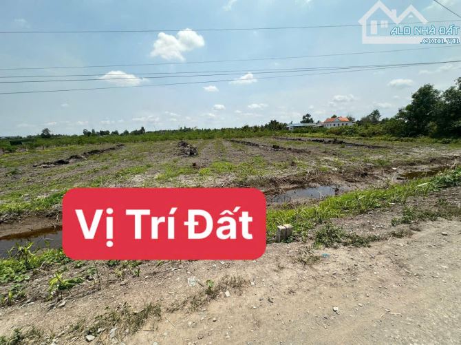 150m2 thổ + 1850 Vườn/ SHR/ Ấp 5-6 Bình Đức / Bến Lưc - 3