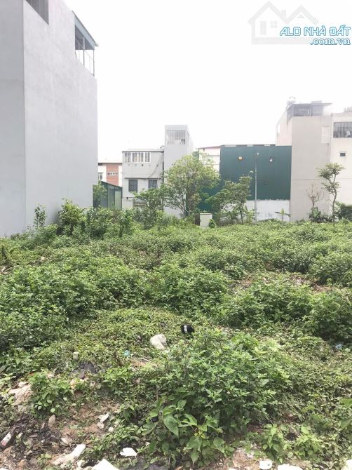 Bán 60m2 đất tđc Tứ Hiệp - Thanh Trì, Phân lô, Ô tô tránh, vỉa hè rộng, Siêu hiếm - 3