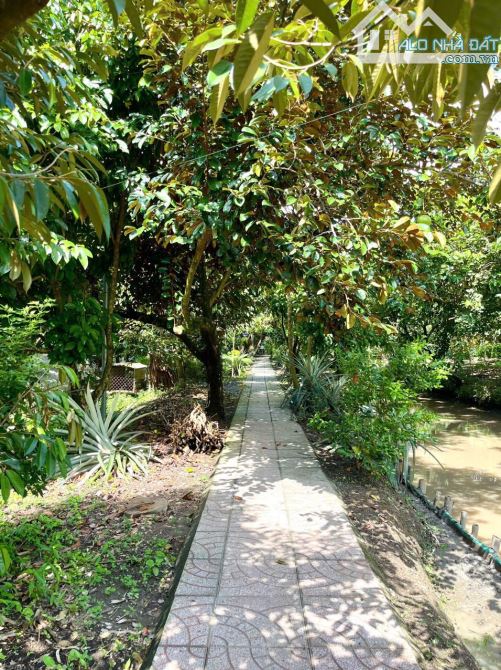 Bán 10.000m2 đất có mô hình vườn sinh thái đường nguyễn văn cừ cần thơ, gần kdl mỹ khánh - 4