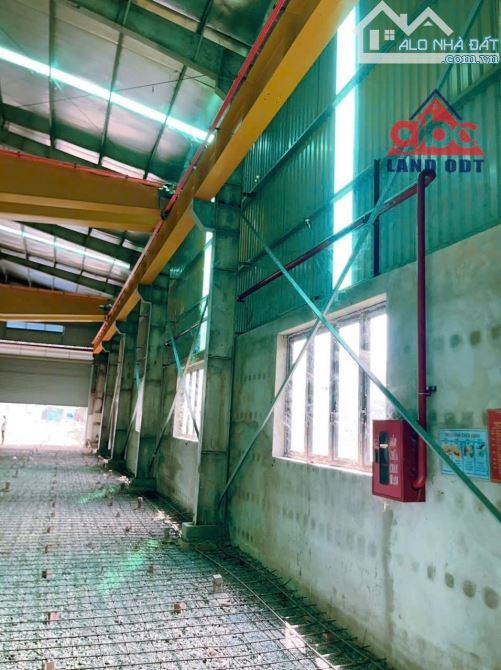 X007  Bán Nhà Xưởng 3500m2 Thuộc Xã An Viễn, Trang Bom Đồng Nai. - 4