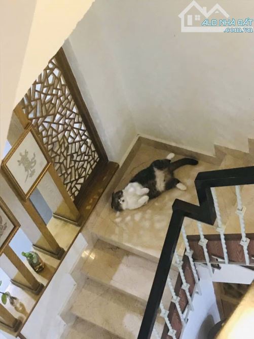 (PHÚ NHUẬN) 10M TỚI HUỲNH VĂN BÁNH. PHƯỜNG 14.(4x19m) SỔ VUÔNG HOA HẬU. 4 TẦNG. 11,9 TỶ. - 5