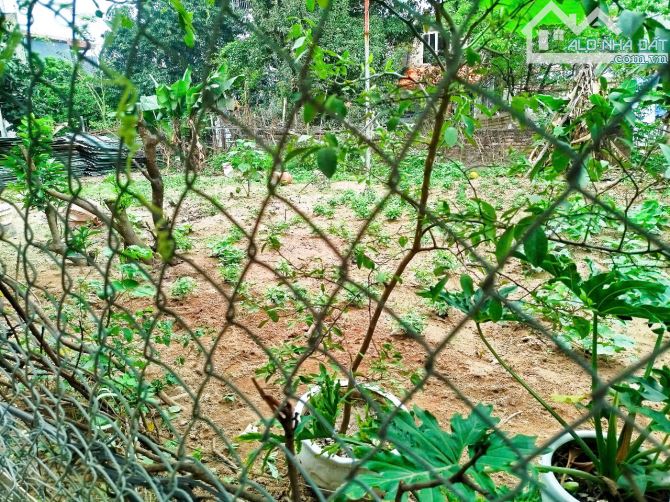🔥 BÁN ĐẤT ĐẸP HẢI BỐI ĐÔNG ANH – MẶT TIỀN 10M – Ô TÔ VÀO TẬN ĐẤT – CHỈ 8.5 TỶ 🔥 - 6