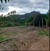 🌲 579m gần trường THCS An Hiệp- Liên Hiệp- Đức Trọng.🔥4 Tỷ5