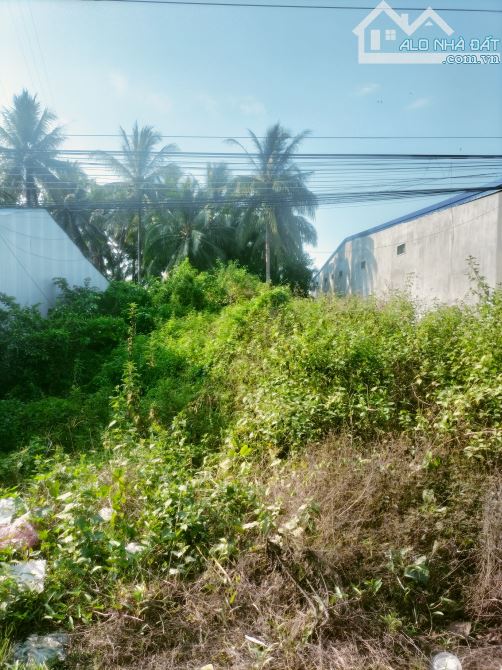 🧧🧧Cần Bán Đất mặt tiền QL60 📍Cách chợ song lộc Khoảng 100m " Cặp Điện Máy PHÚ MAI"I