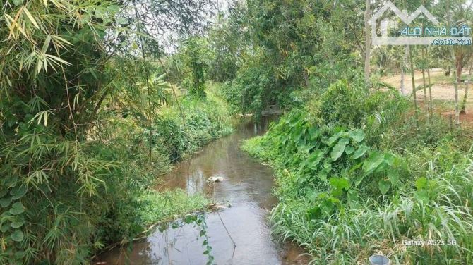 Bán đất Bình Ba – View Suối 💧 7000m2 giá 750 triệu/sào