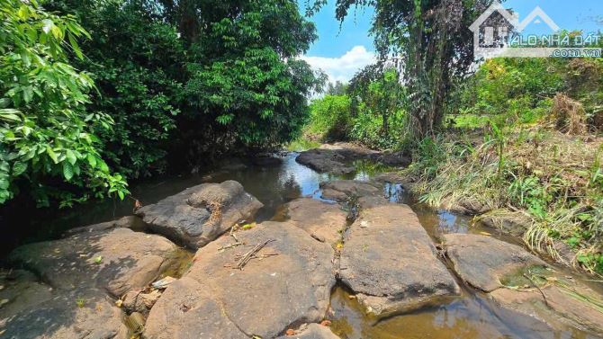 Bán Lô Đất Xã Bình Trung View Suối Cuối Đất – Châu Đức – BRVT 🌟 12.296m2 giá cực rẻ
