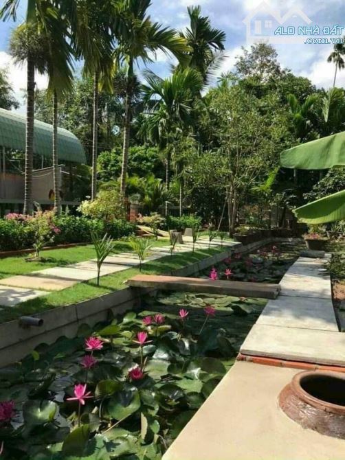 BÁN KHU NGHỈ DƯỠNG, P.TÂN AN, TP.TDM, DT:25x40, TC92M2, SHR, GIÁ 6,6 TỶ