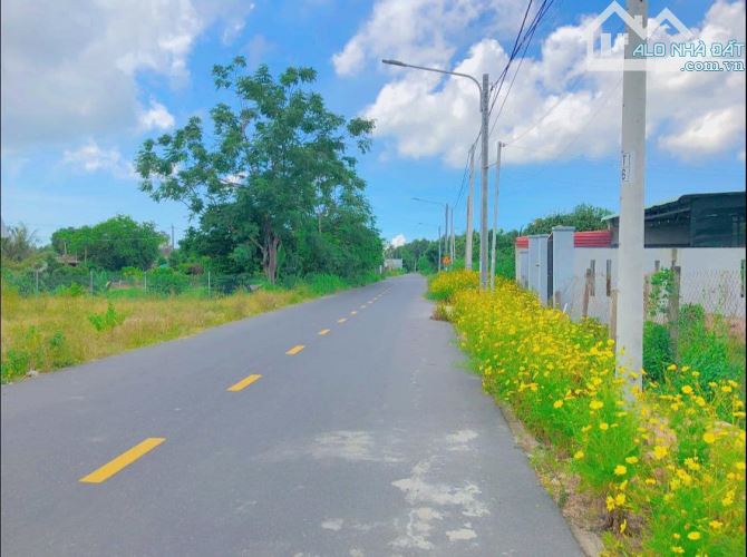 Đất Thổ Cư 210m Ngang 5 dài 42 Có 4 Lô Đường Nhựa Huyện Long Đất, Bà Rịa Vũng Tàu
