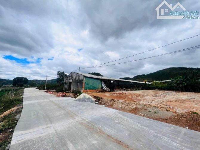 Cần bán lô đất sào Liên Hiệp huyện Đức Trọng giá rẻ - 4