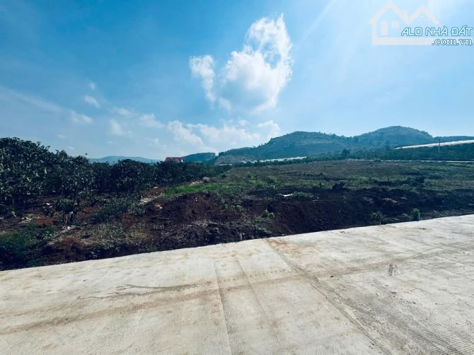 Cần bán lô đất nền giá f0 xã Liên Hiệp giá rẻ - 1